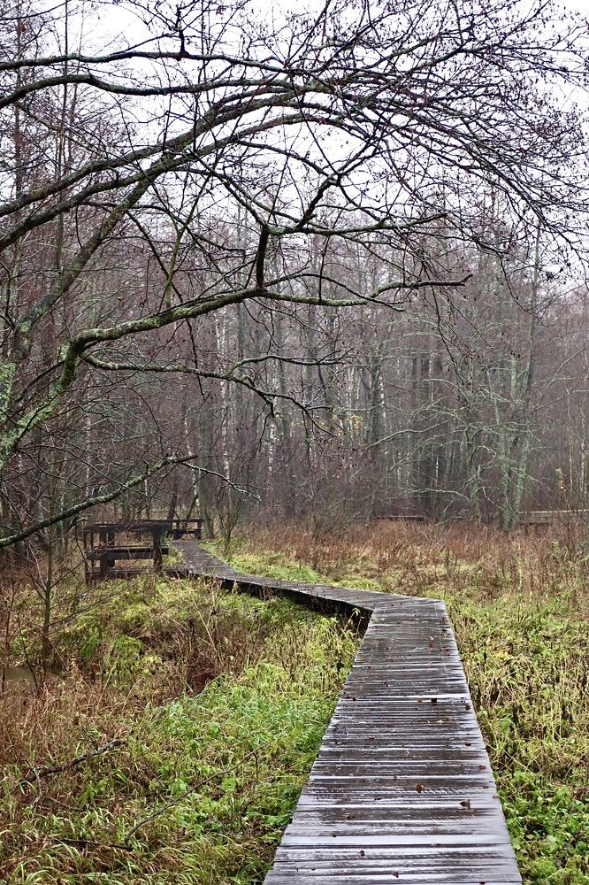 Photograph by Надежда Ткаченко