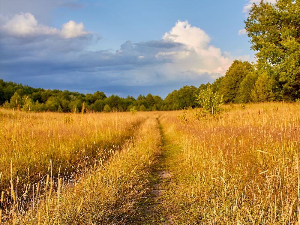 Photograph by Голованов Николай