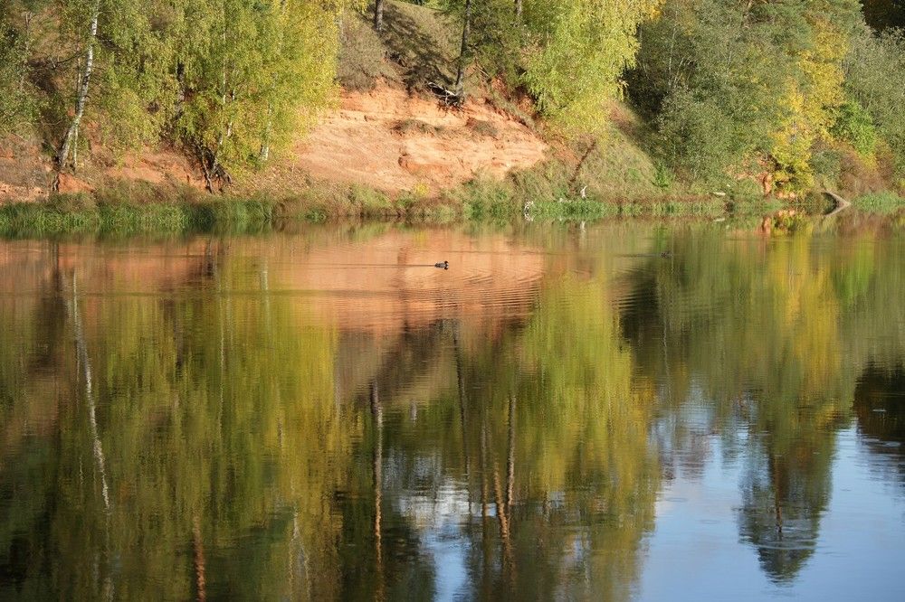 Photograph by Илья Савицкий