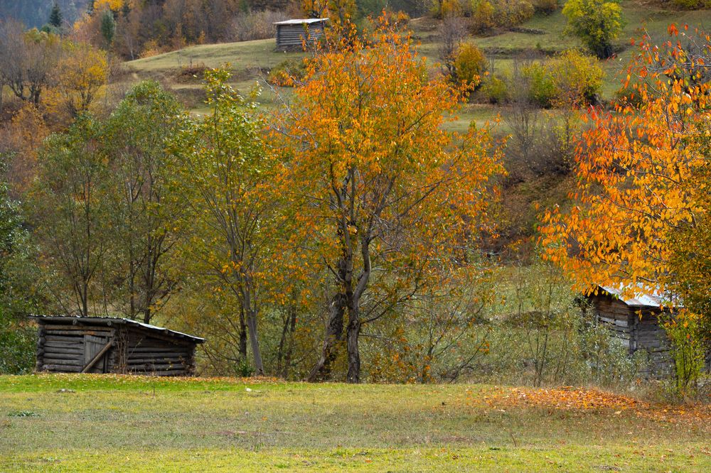 Photograph by Orhan Olmez