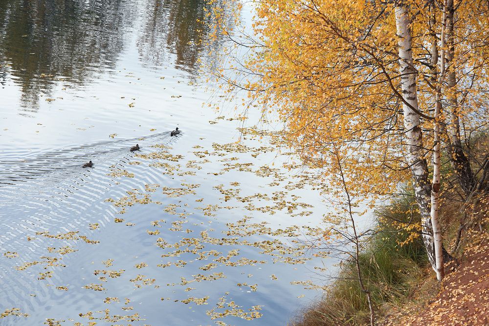 Photograph by Илья Савицкий