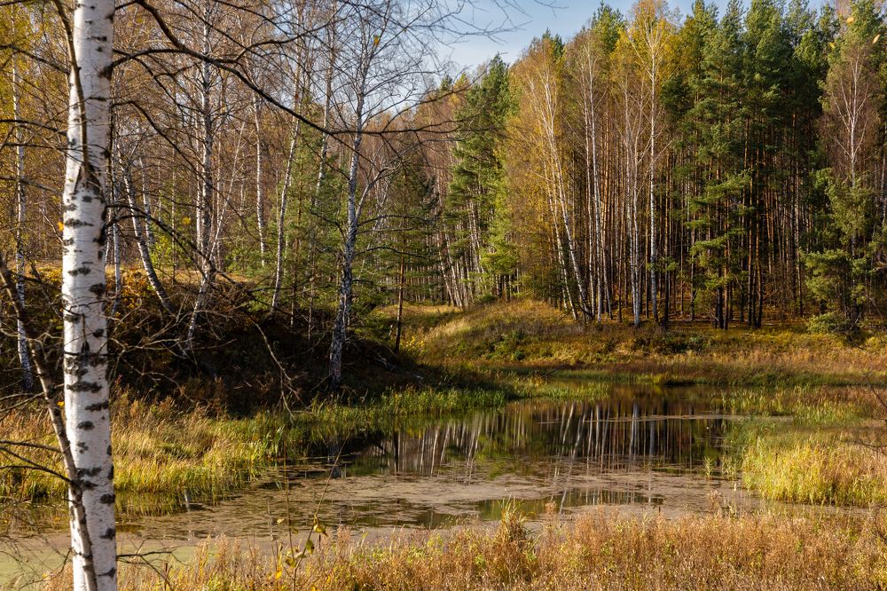 Photograph by Светлана Тараканова