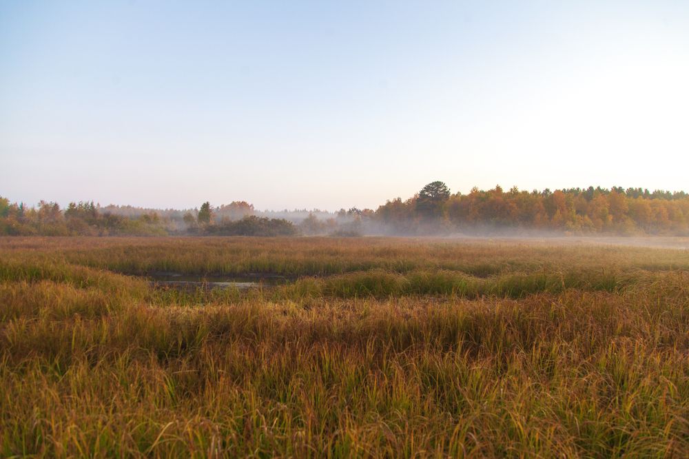 Photograph by Григорий Шишонков