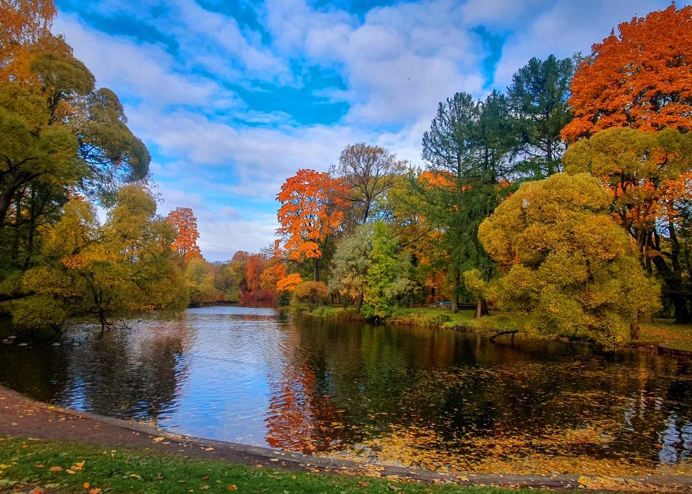 Фотография автора Inna Evseeva