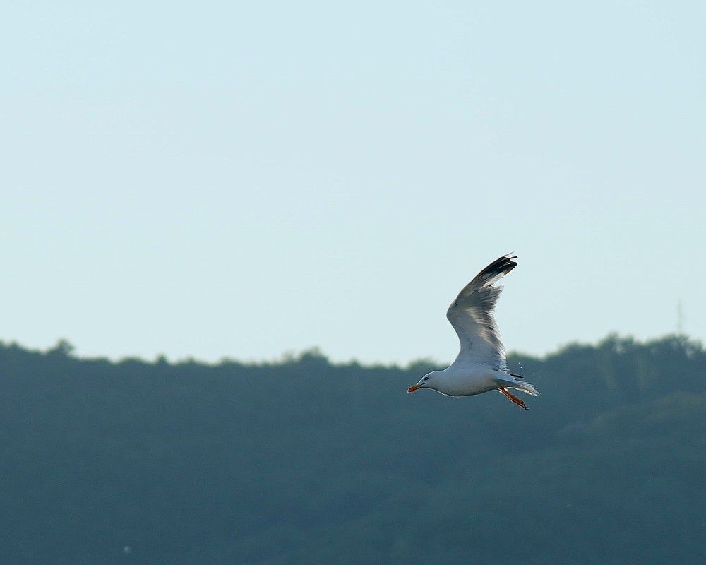 Фотография автора Nastasya Sablina