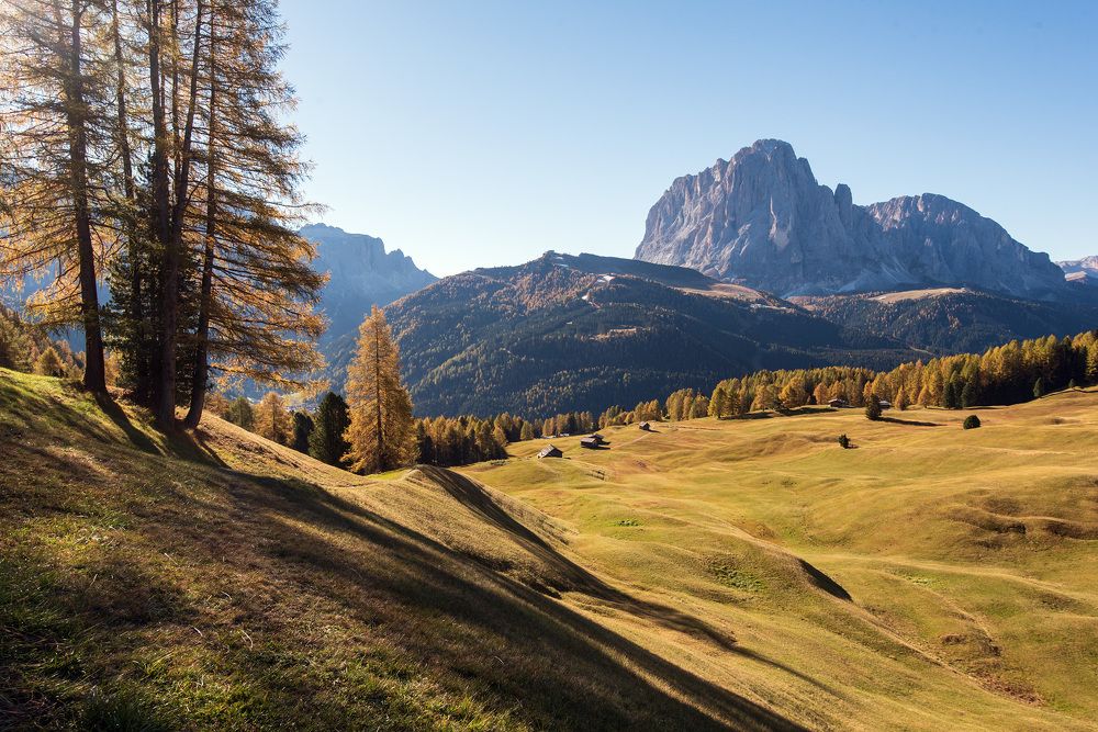 Фотография автора Сергей Сынтин
