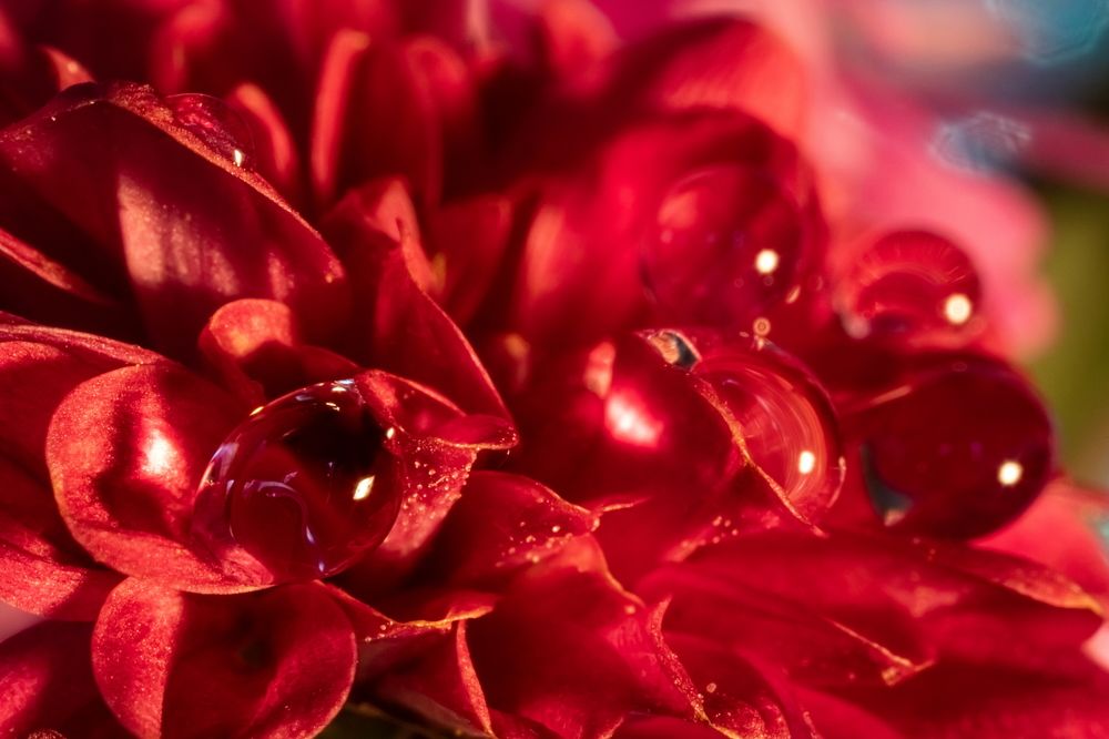 Photograph by Николай Фонарёв