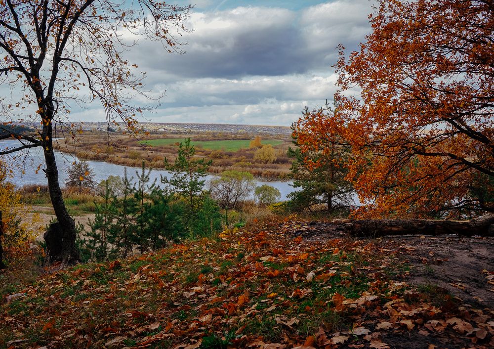 Photograph by София Стрыгина