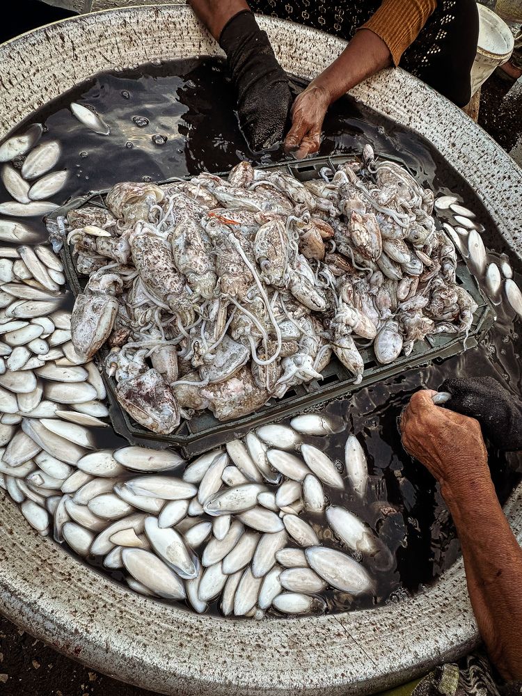 Фотография автора maram ali