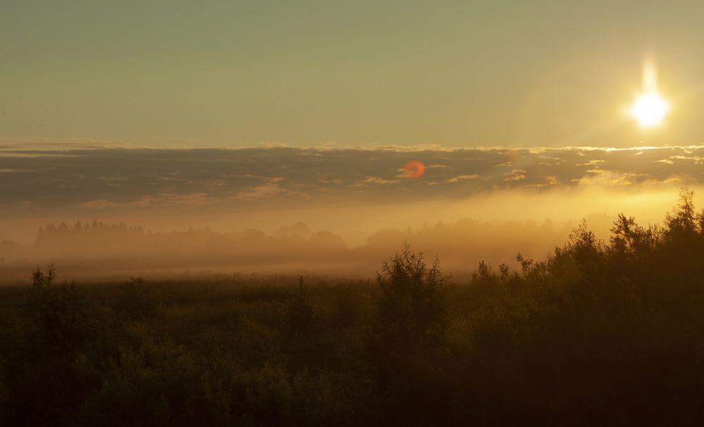 Утро туманное