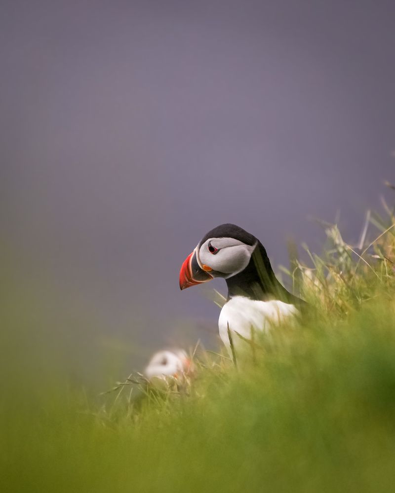 Photograph by Chetan Kapoor