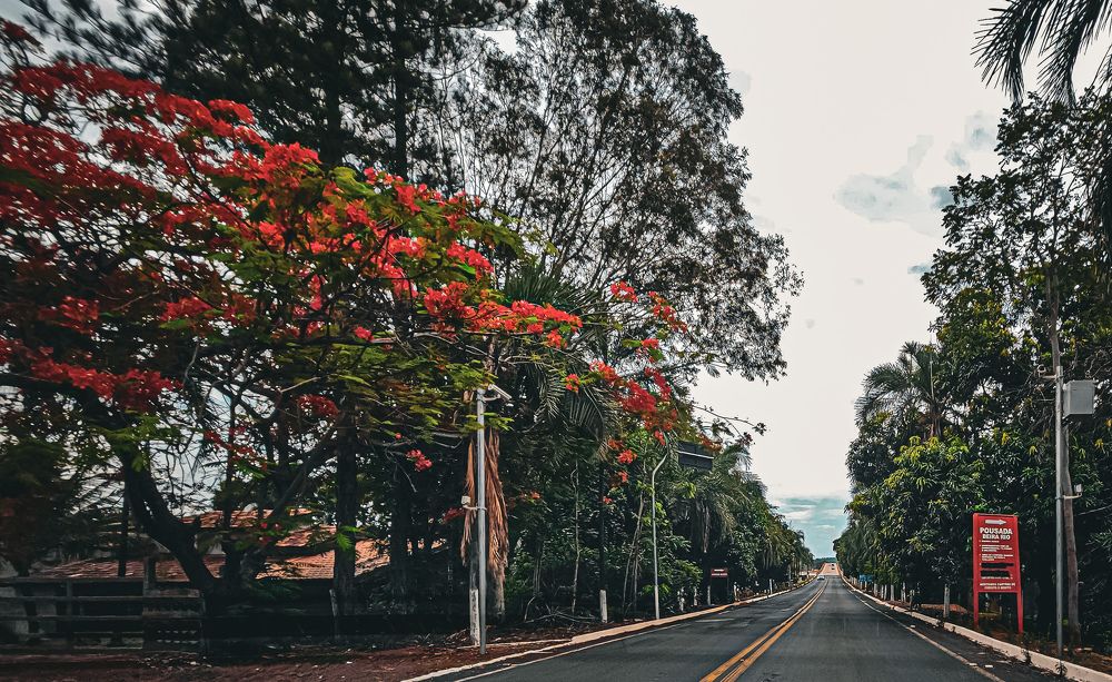 Фотография автора Elaine Almeida