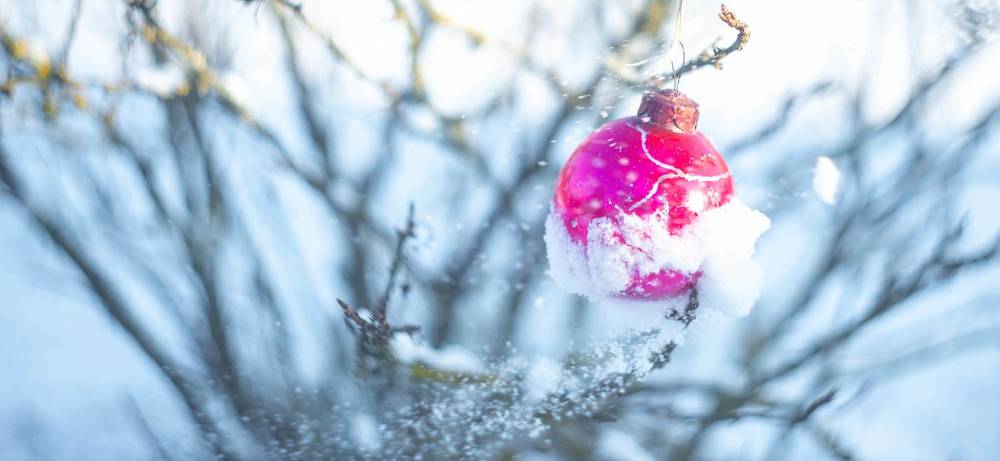 Фотография автора Aлексей Игнатьев