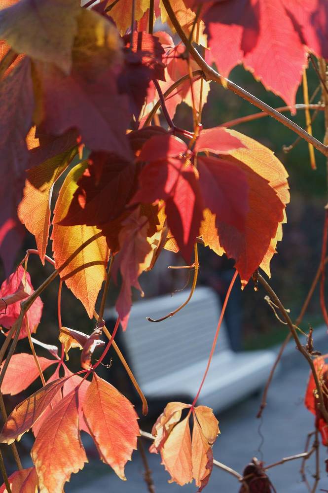 Photograph by Виктория Лаврова