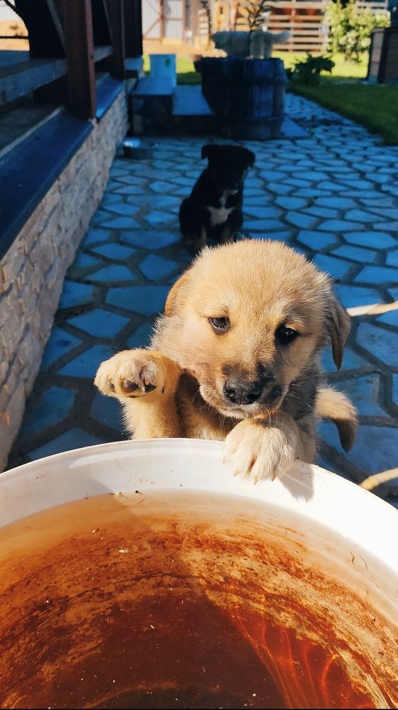 Photograph by Александр