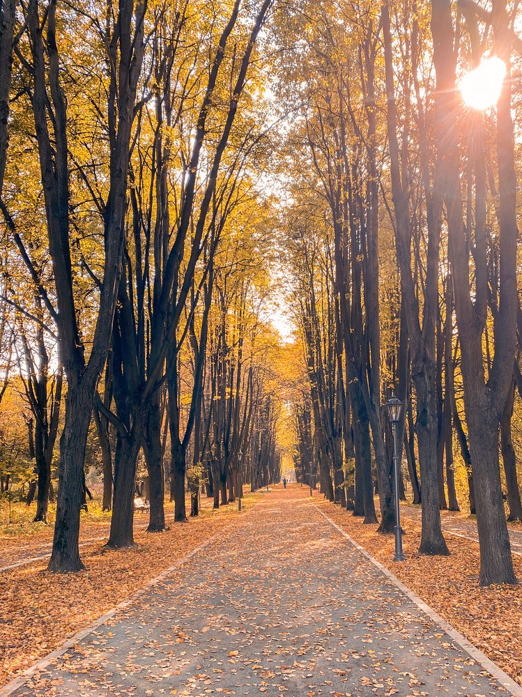 Photograph by Ольга Глазунова