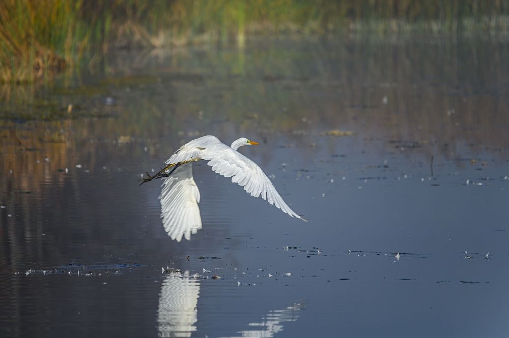 Photograph by Roman Dmitriev