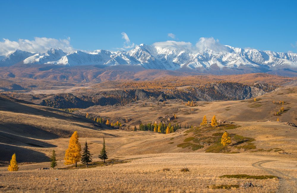 Photograph by Tatyana