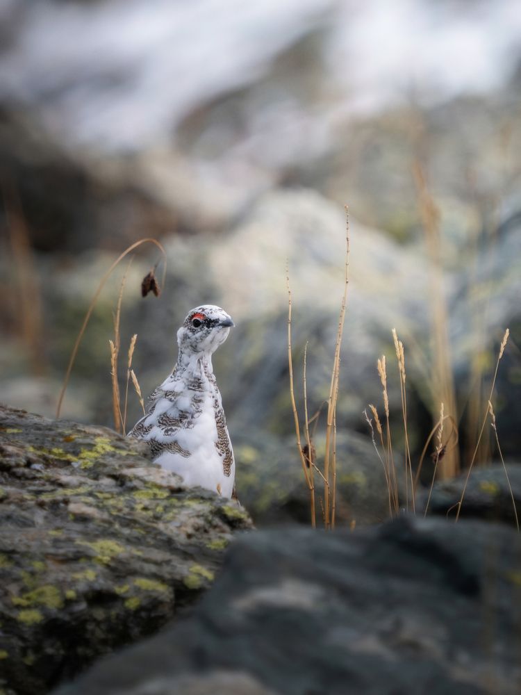 Photograph by Мозжухин Максим