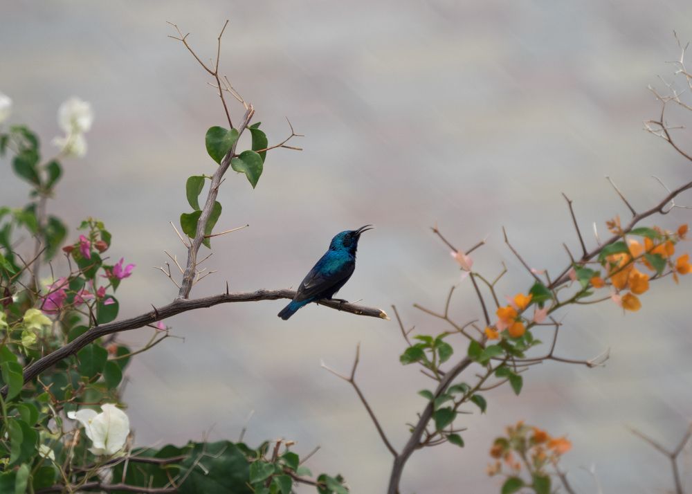 Photograph by Мозжухин Максим