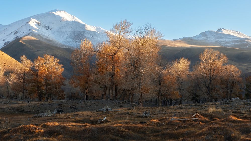 Photograph by Мозжухин Максим