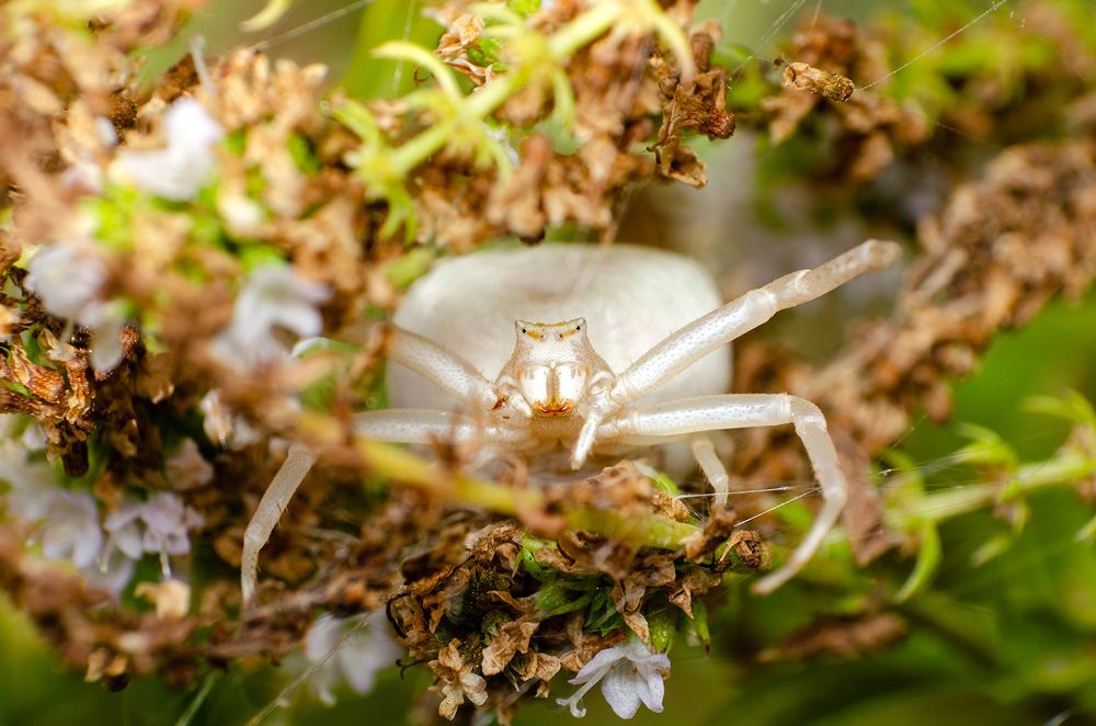 Photograph by Sahar Jafari