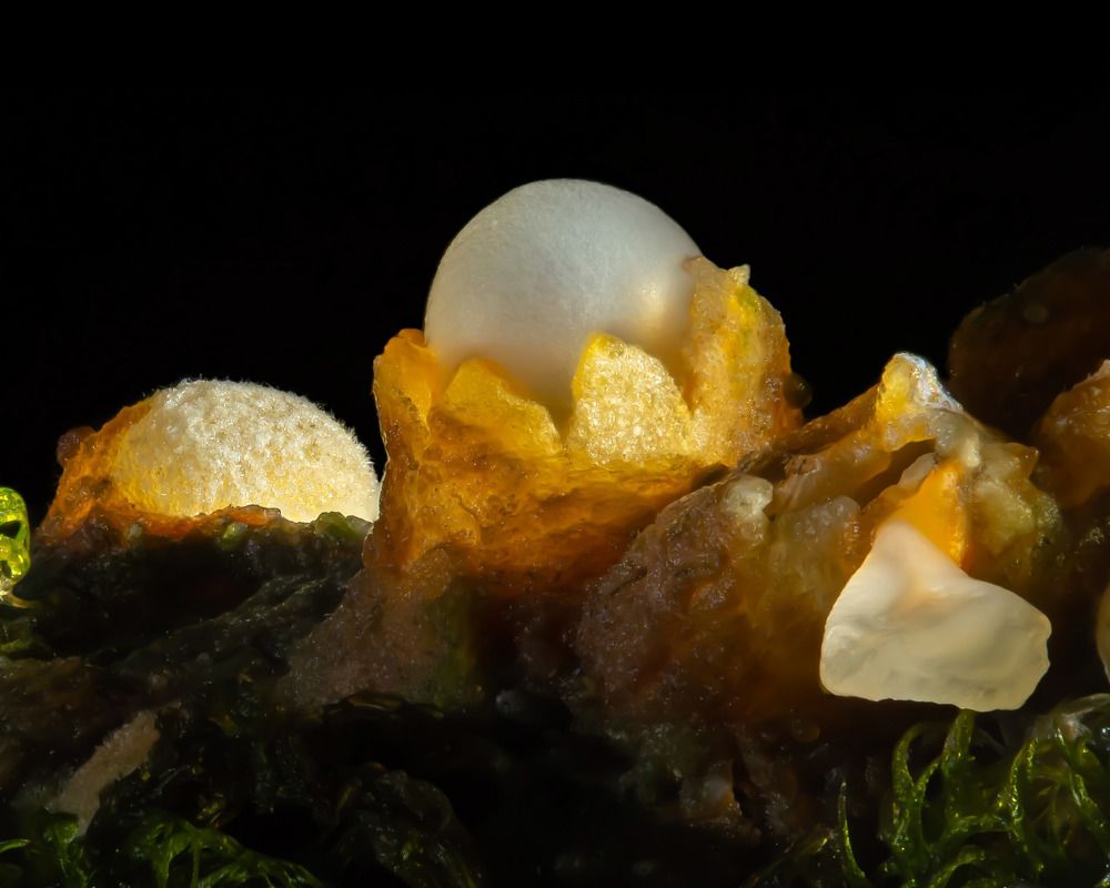 Photograph by Антон Кубышкин