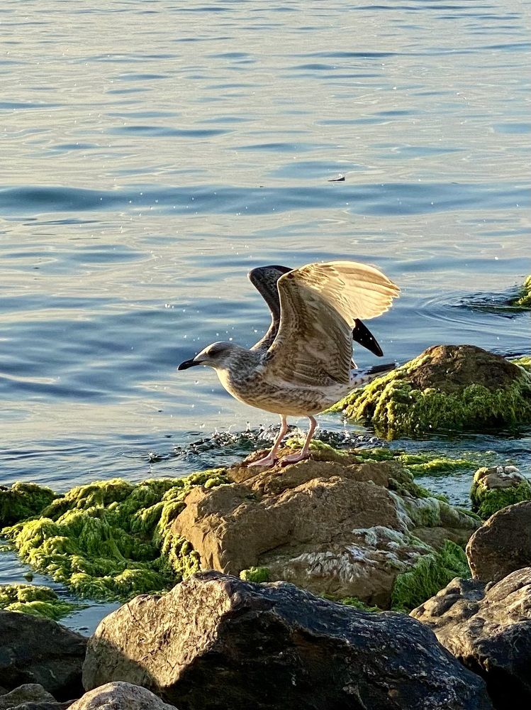 Photograph by Ольга Глазунова