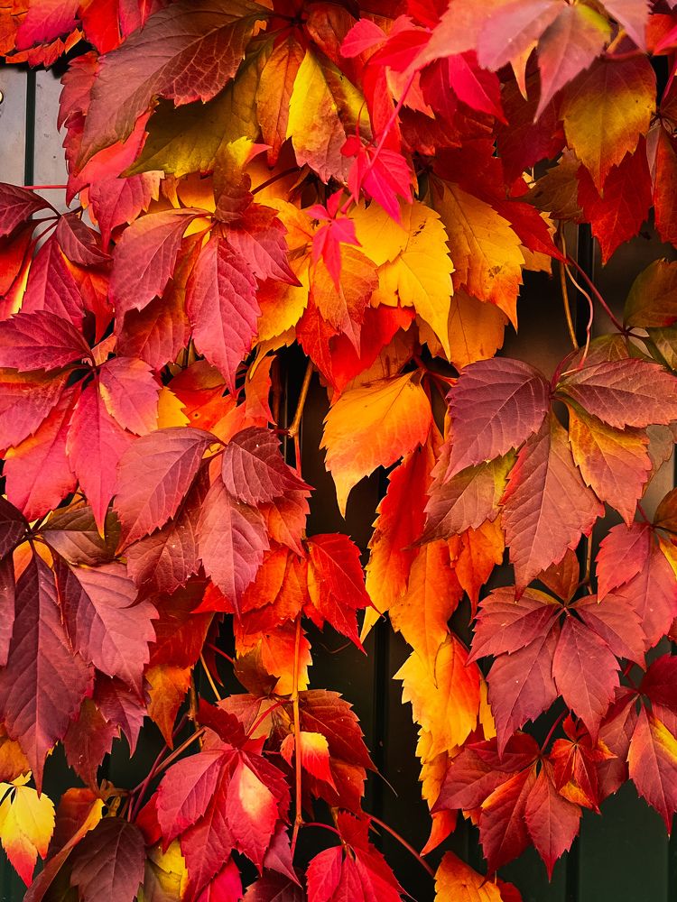 Photograph by Екатерина Валиуллина