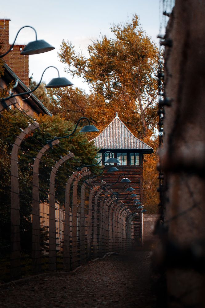 Photograph by Robert Fülöp