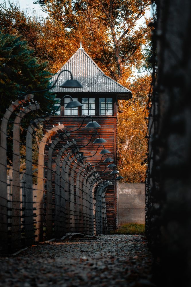 Photograph by Robert Fülöp