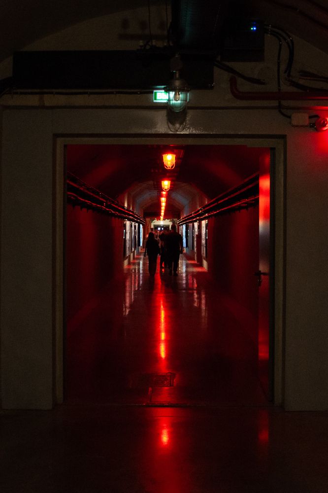 Photograph by Артём Таначёв