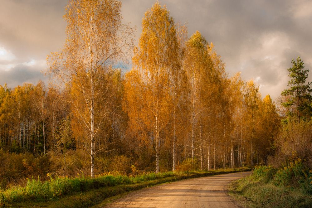 Photograph by Aлексей Игнатьев