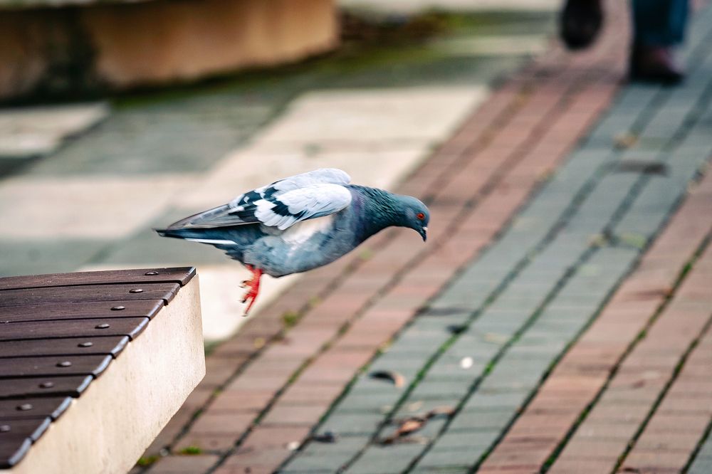 Photograph by Siarhei Saladukhin