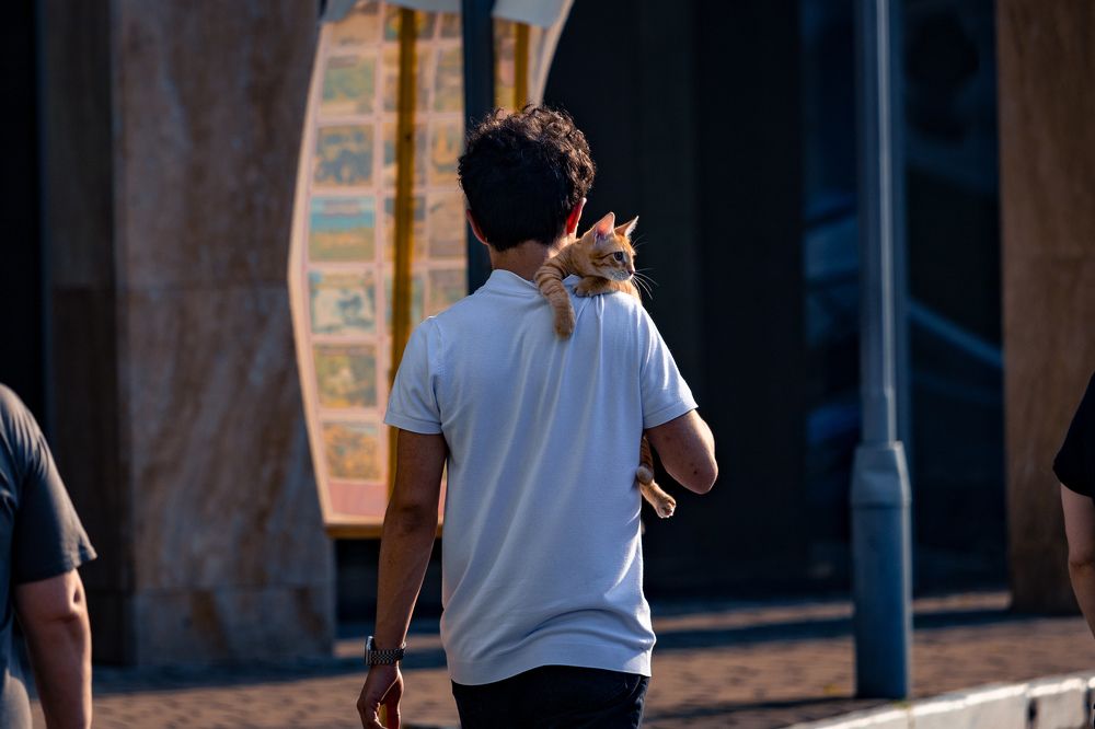 Photograph by Siarhei Saladukhin