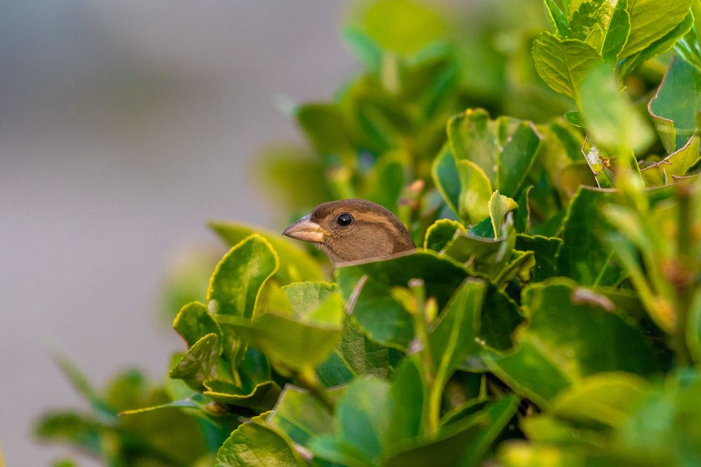 Photograph by Siarhei Saladukhin