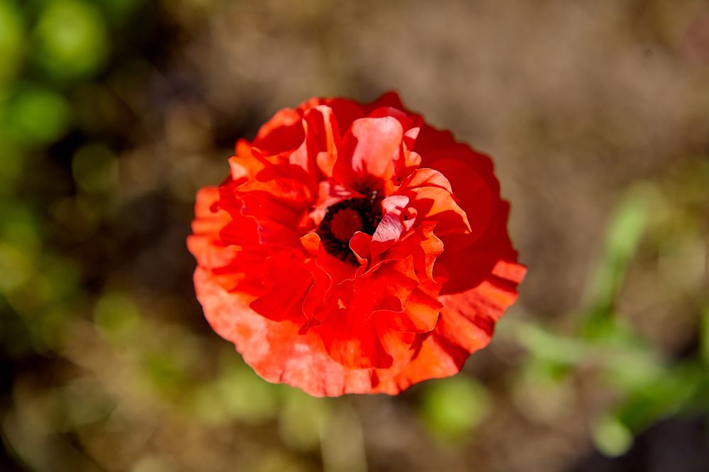 Photograph by Голованов Николай