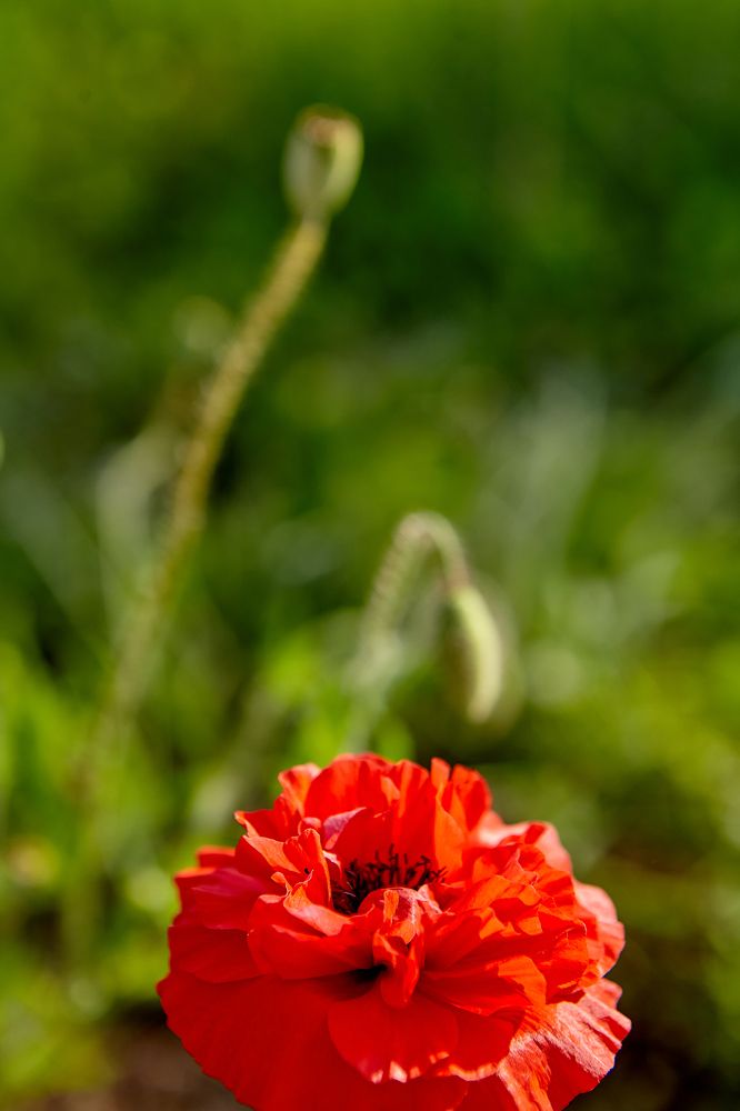 Photograph by Голованов Николай