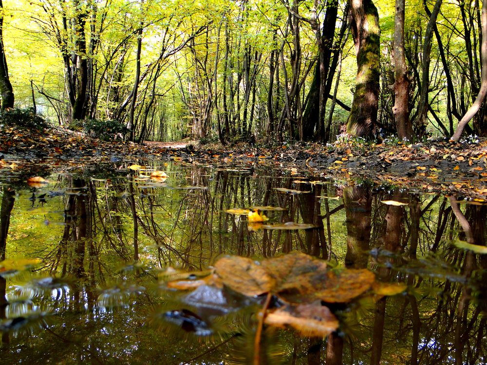 Photograph by reza haghjooy