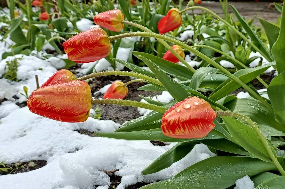 Фотография автора Татьяна Лука