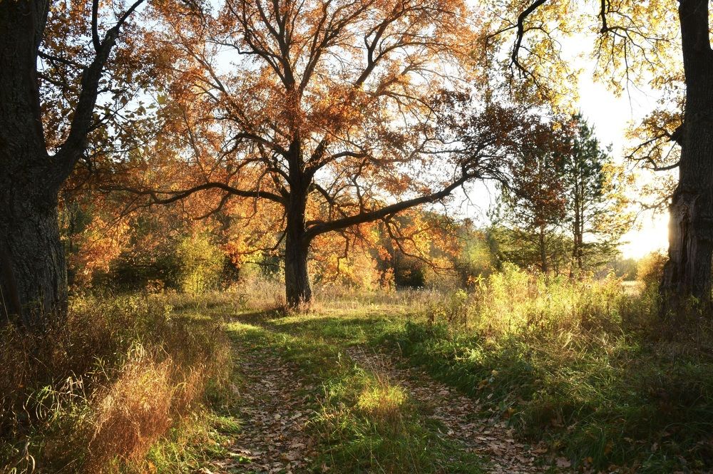 Photograph by Ирина Ефимова