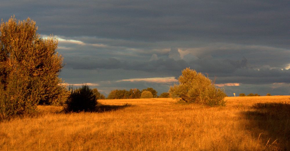 Photograph by Ольга Павлова