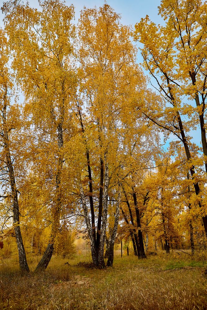 Photograph by Голованов Николай