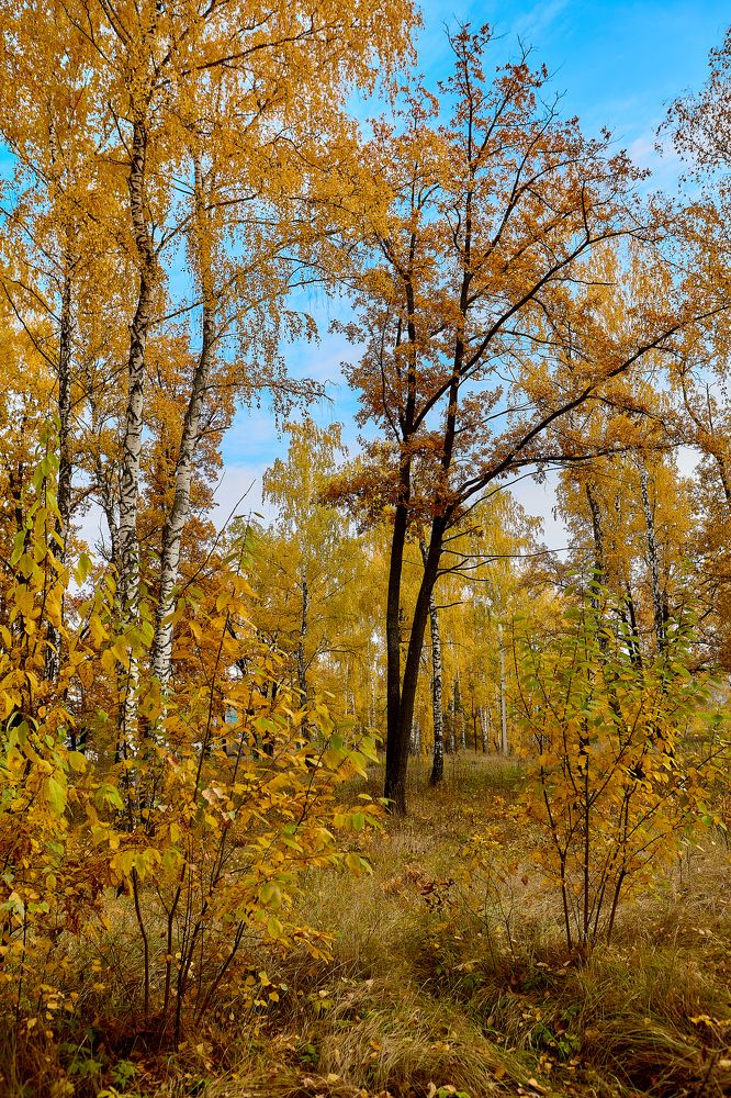 Photograph by Голованов Николай