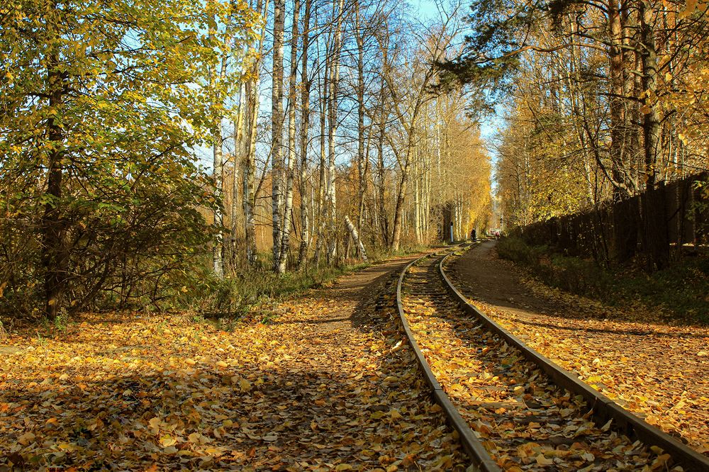 Photograph by Марианна Бессонова