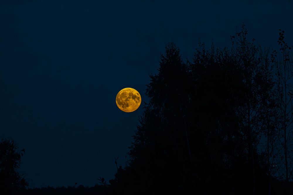 Фотография автора Алина Руденко