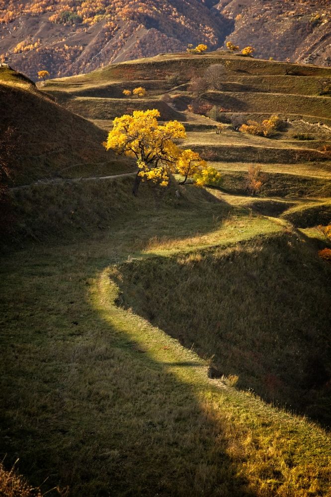 Photograph by Игорь Щербаков