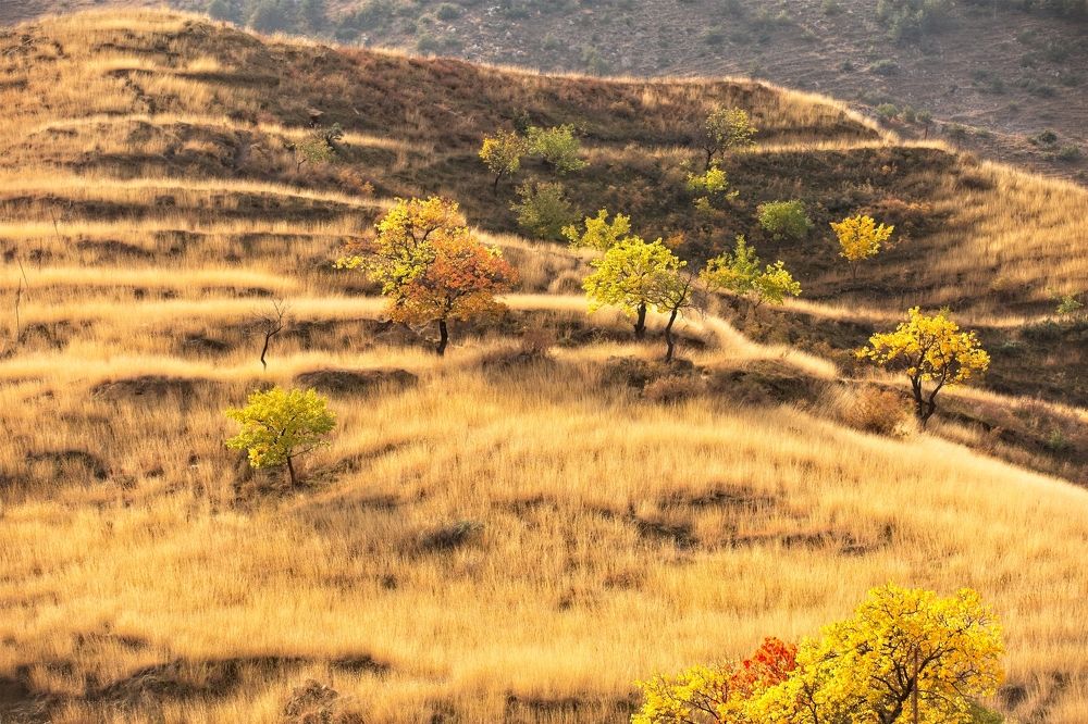 Photograph by Игорь Щербаков