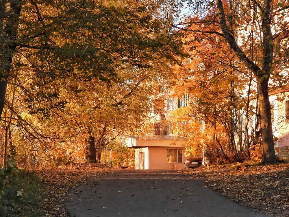 Photograph by Александр Шаварин