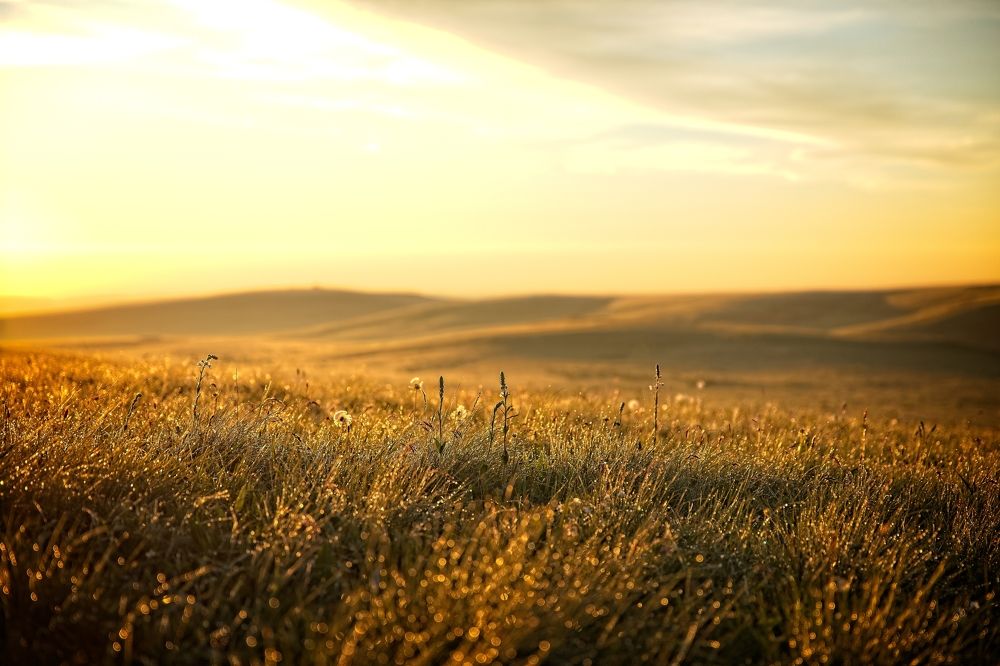 Photograph by Игорь Щербаков